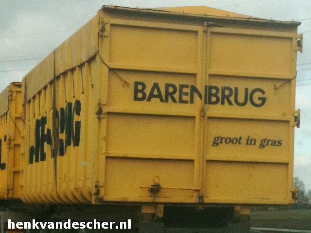Barenburg  :: Groot in gras
