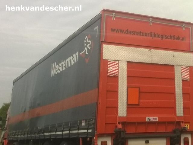 Westerman :: Dasnatuurlijklogischtiek.nl