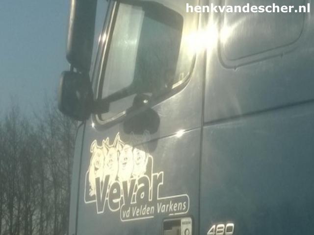 vevar :: blije varkens