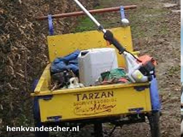 Tarzan :: Tarzan Boomverzorging