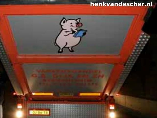 CB van Dijk :: blije varkens