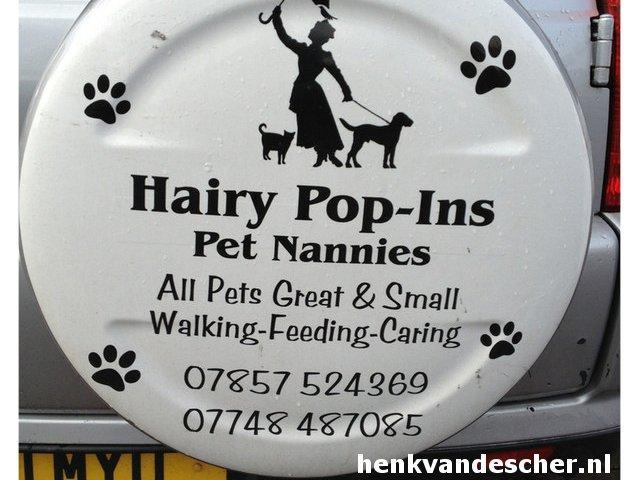 Hairy Pop - Ins :: Hairy Pop - Ins