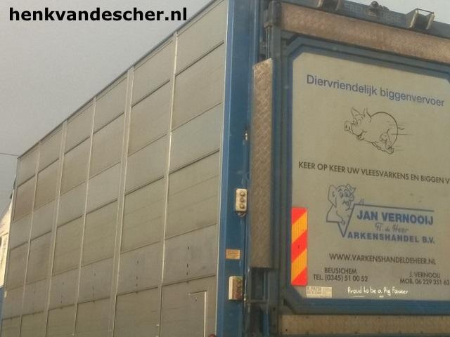 Jan Vernooij :: blije varkens
