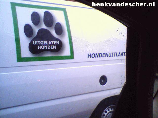 Uitgelaten honden :: Uitgelaten de beste